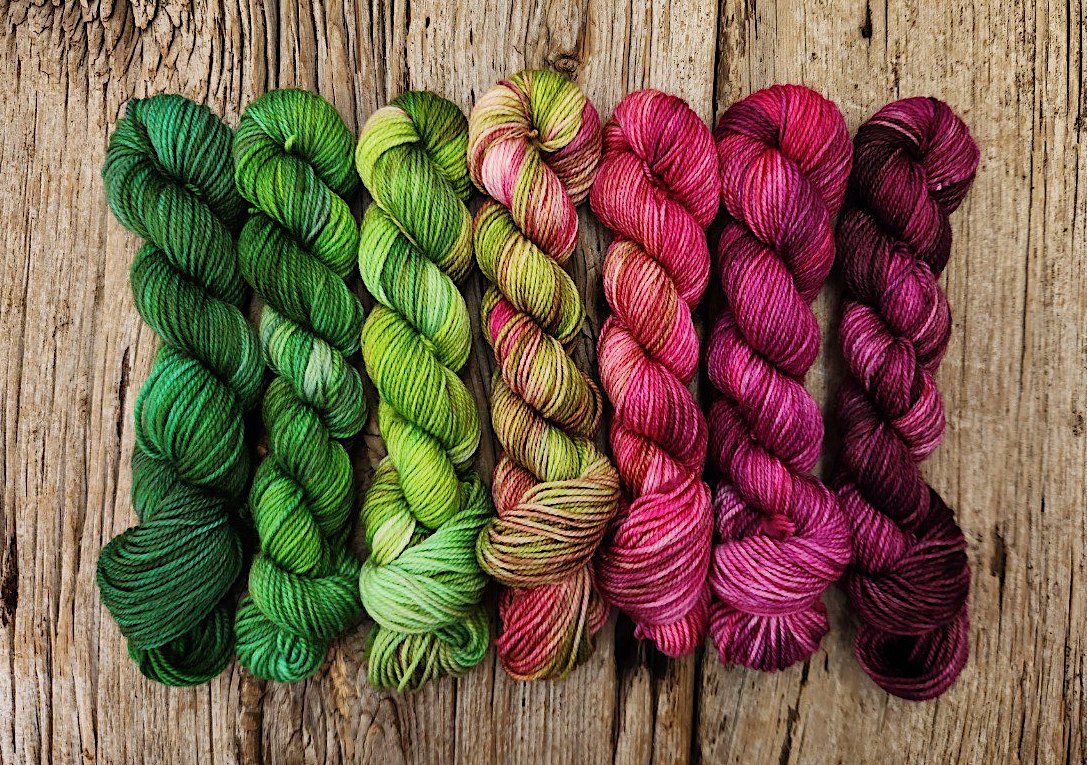 tiptoe tulips grad 30 2